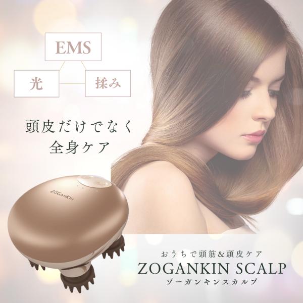 ゾーガンキン スカルプ : TETE ONLINESHOP - 通販 - Yahoo!ショッピング