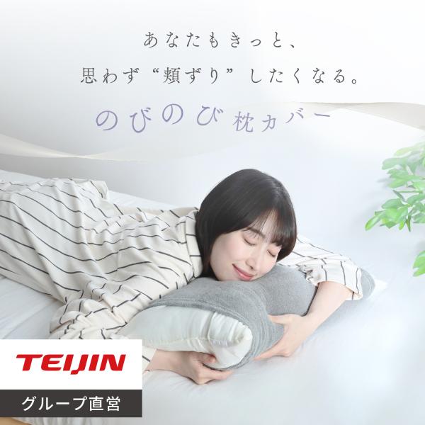 TEIJIN（テイジン） 枕カバー のびのび枕カバー 公式 ピローケース