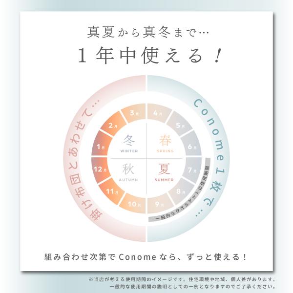 ��l �R�m�~�[ �e�C�W�� ���b�t���P�b�g Conome �Z�~�_�u�� �^�I�� �I�[���V�[�Y�� 160�~190 ���i�摜3