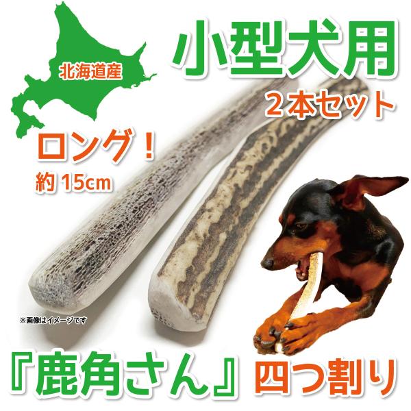 訳あり】 中型犬用 蝦夷鹿の角 鹿角さん 約15cm 半割り 2本セット 天然