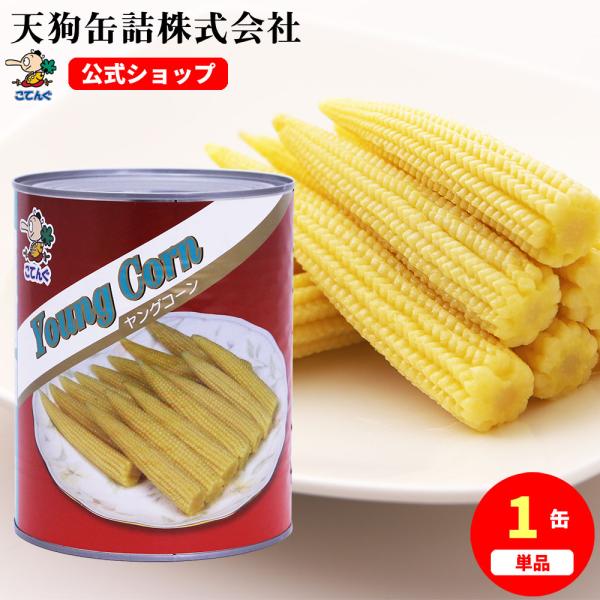 お勧め新鮮ヤングコーン200本（本日1品のみ） 数量限定 予約販売 鹿児島県産 皮付きヤングコーン 40本 朝獲れ