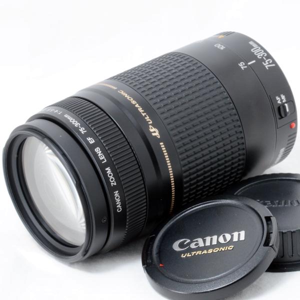 EFレンズ キャノン 望遠ズームレンズ Canon EF 75-300mm F4-5.6 II USM