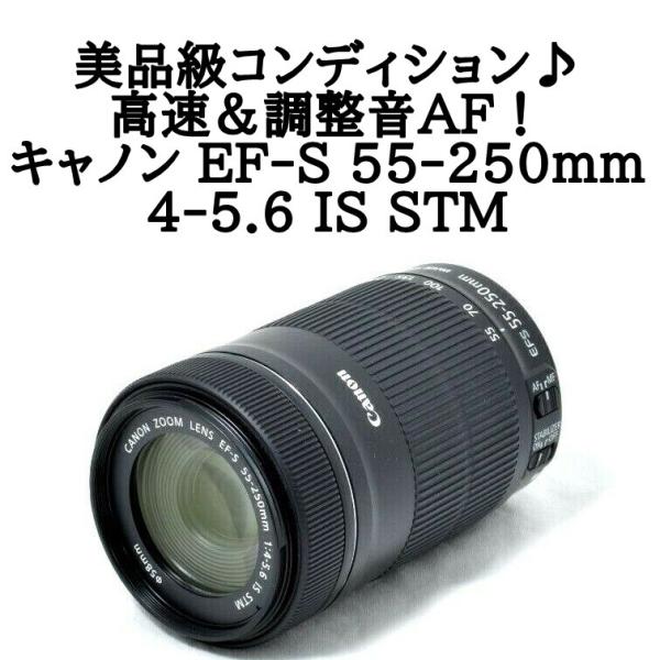 キャノン 望遠ズームレンズ Canon EF-S 55-250mm F4-5.6 IS STM 初心者 おすすめ中古