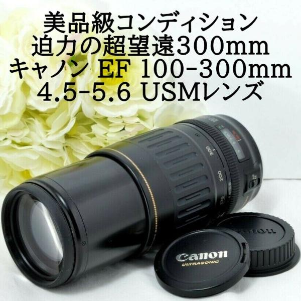 Canon キヤノン 望遠レンズ EF100-300mm キャノン - レンズ(ズーム)