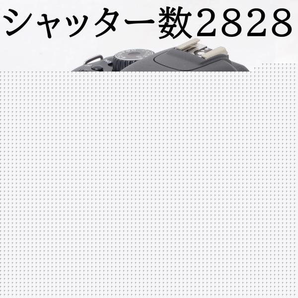 EOS Kiss キヤノン デジタル一眼レフカメラ Canon X4 AF 28-80mm