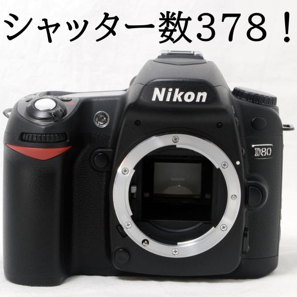 75%OFF!】 Nikon デジタル一眼レフカメラ D80 AF-S DX 18-135G レンズ
