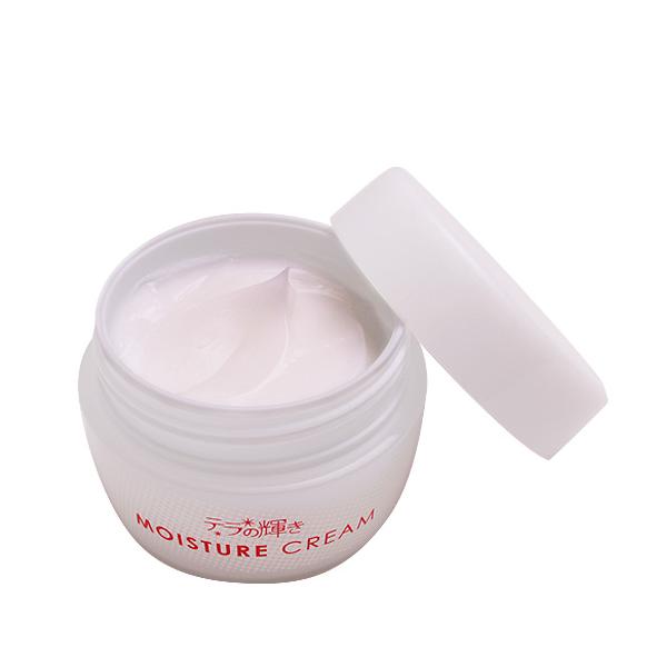 オールインワンジェル テラの輝き モイスチャークリーム 100g