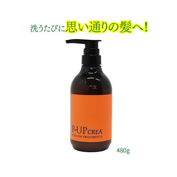 P-UPクレア　水素イオントリートメントII　480g