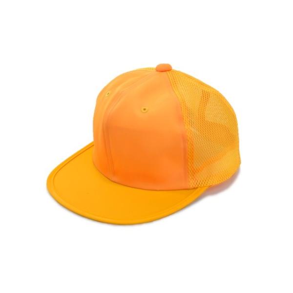 y܂Ƃߔ}zʊwXq ʊwLbv 111006-B bV CG[  싅X LbY WjA qp TCY ǂ w ʊw ʉ j̎qp t