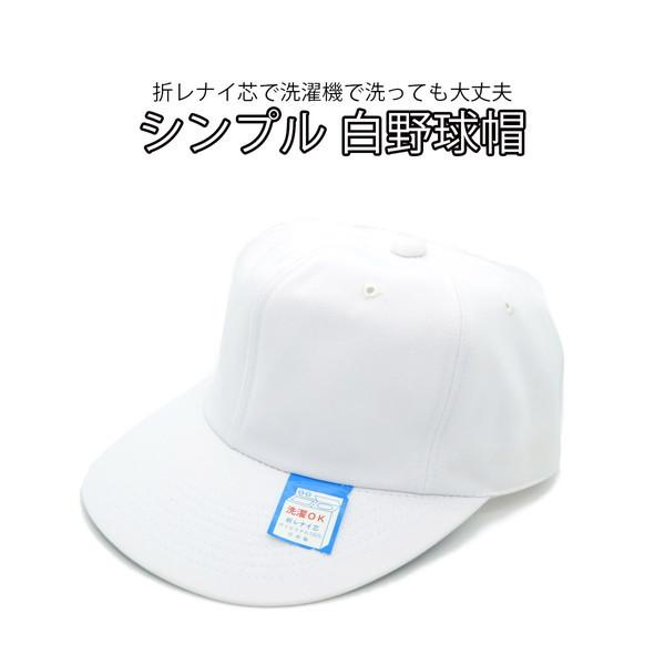 Lbv zCg  fB[X Y wl am jp O΍ 싅X 傫TCY \  t 950