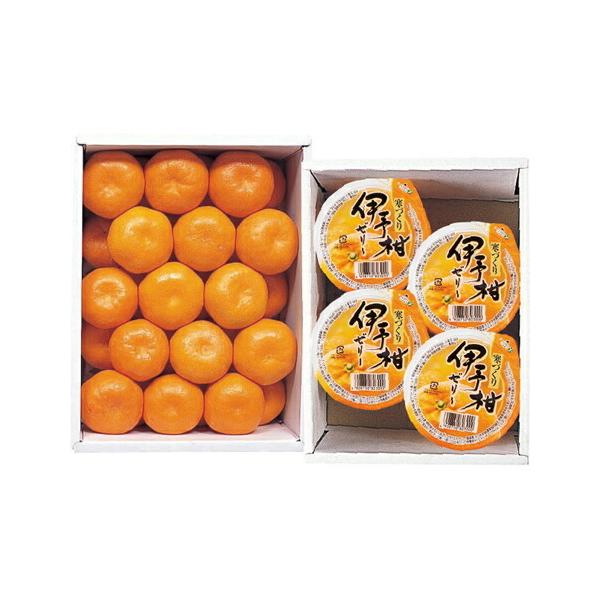 激安特価 お中元 御中元 夏ギフト 愛媛県産 ハウスみかん 紅まどんなジュースセット ポイント5倍 送料無料 ミカン 蜜柑 果物 お届け期間限定 御中元用限定商品です 日本製 Institutoedinheiromarica Org