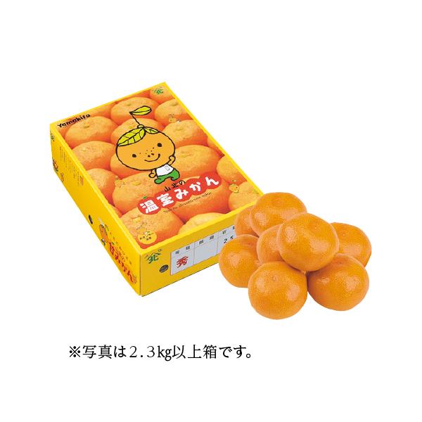 【送料無料】高知県産（JA高知県） 山北ハウスみかん S〜M・2.3kg以上｜濃厚果汁・旬の味覚・産地直送・柑橘ギフト
