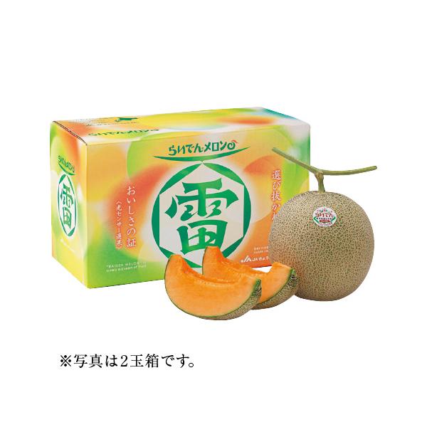 【送料無料】北海道産（JAきょうわ） らいでんメロン 1玉｜人気商品・産地直送・リピート多数・ギフト人気