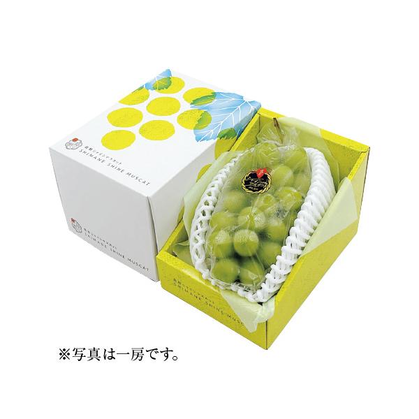 【送料無料】島根県産 シャインマスカット 450g以上×2房｜リピート多数・話題商品・自宅用