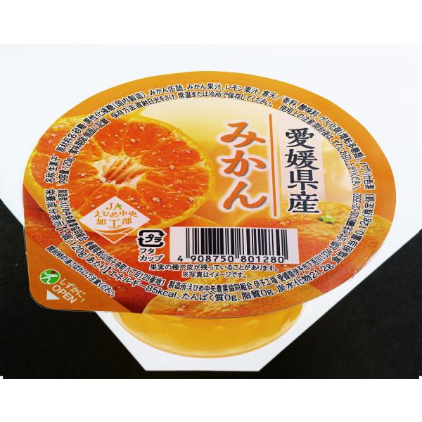 みすず⭐えひめ中央農業協同組合 愛媛県産 レモン 果肉入りゼリー JAえひめ中央 愛媛県産レモンゼリー 120g（えひめ中央農業協同