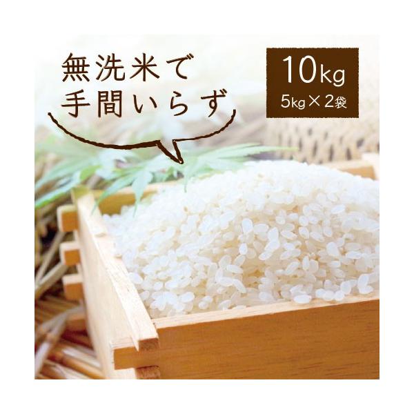 無洗米 ひめライス あらうまい 標準米 10kg 5kgx2袋 国産 送料込み 北海道 沖縄 一部離島除く Buyee 日本代购平台 产品购物网站大全 Buyee一站式代购 Bot Online