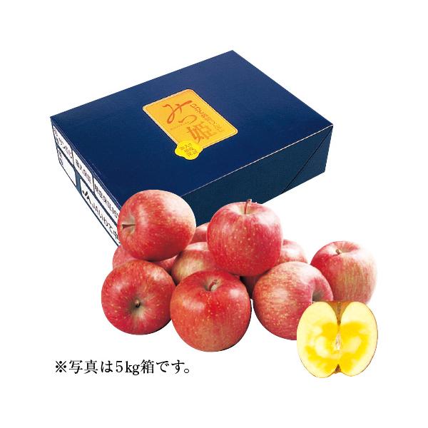 お歳暮 ギフト 送料無料 サンふじりんご（みつ姫） 5kg 岩手県産（JA