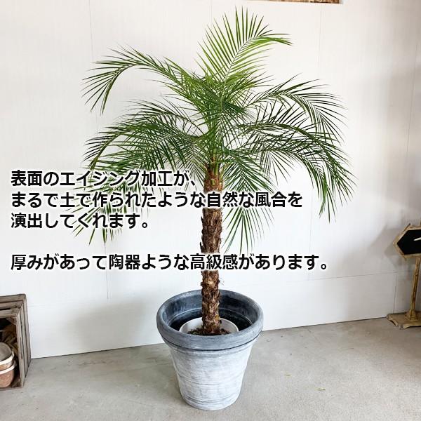 グレーテラコッタ風 鉢カバー イタリア製 10号鉢がすっぽり 樹脂製鉢 軽量 送料無料 大鉢用 １０号鉢用 プランター 観葉植物 おしゃれ Borudeglay 観葉植物専門店the Green 通販 Yahoo ショッピング