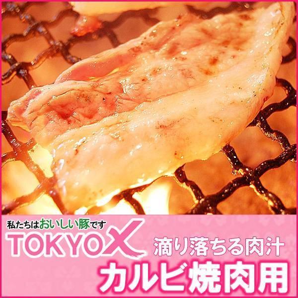 TOKYO X o ē 100g X gELEGbNX ē BBQ 100g ؓ Mtg d Ɩp Hi  ٓ Ⓚ 񂹃O BBQ o[xL[ H