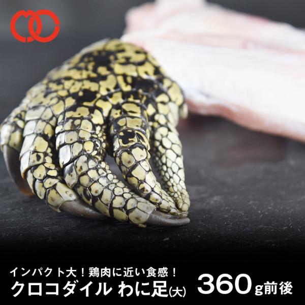 ワニ肉の人気商品 通販 価格比較 価格 Com