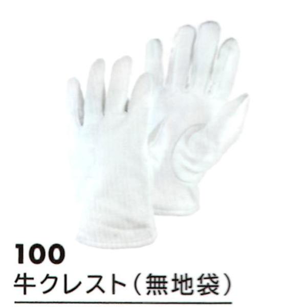 FUJITE 100 NXgin܁j PTCYE10o