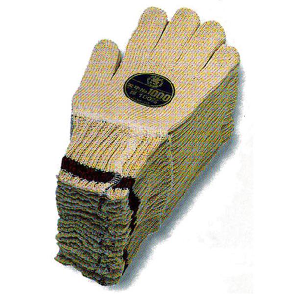 FUJITE 1000-CF VȃJtXi10_[XZbgj