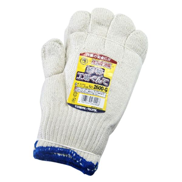 FUJITE 2600-G ȓHꂮĒnҁi10_[XZbgj