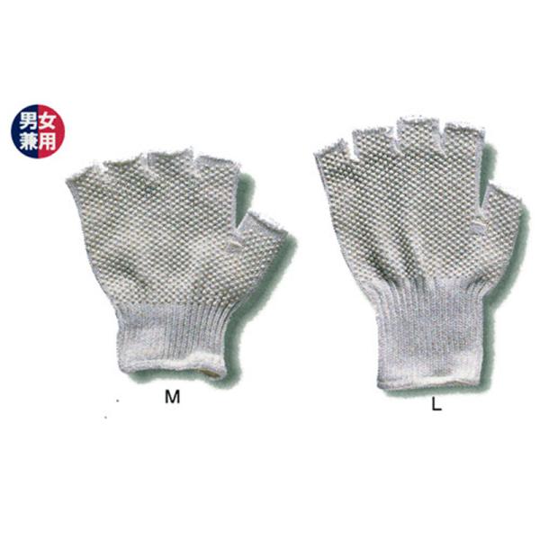 FUJITE 3650 J[TCh5{wo   R 120oZbg