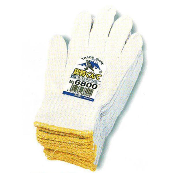 FUJITE 6800 ȓāi10_[XZbgj