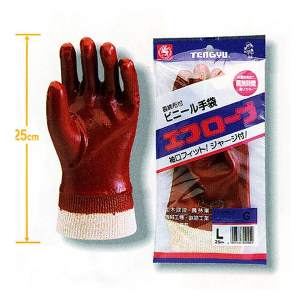 FUJITE Gt[u G  LTCY W[Wt 10oiG Gt[u p[Gj