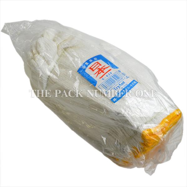 TryAnt gCAg R { K-620 60ŃZbg