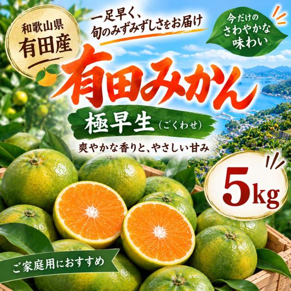 訳あり 有田みかん 和歌山産 極早生 5kg 送料無料 温州みかん 加工用 家庭用 規格外 サイズ混合