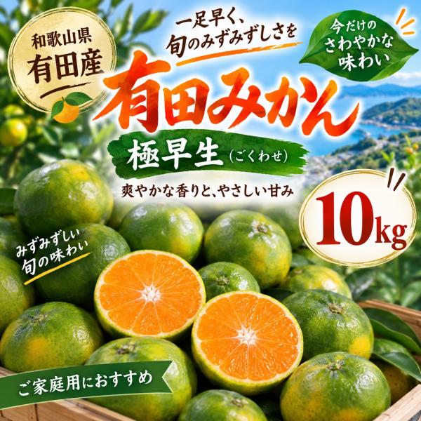 訳あり 小玉有田みかん 和歌山産 極早生 10kg 送料無料 温州みかん 加工用 家庭用 規格外 サイズ混合