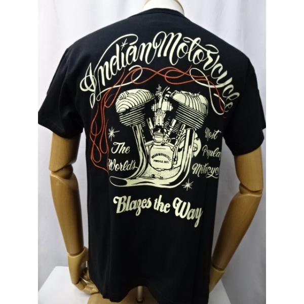 the-whites-wolf_im79363