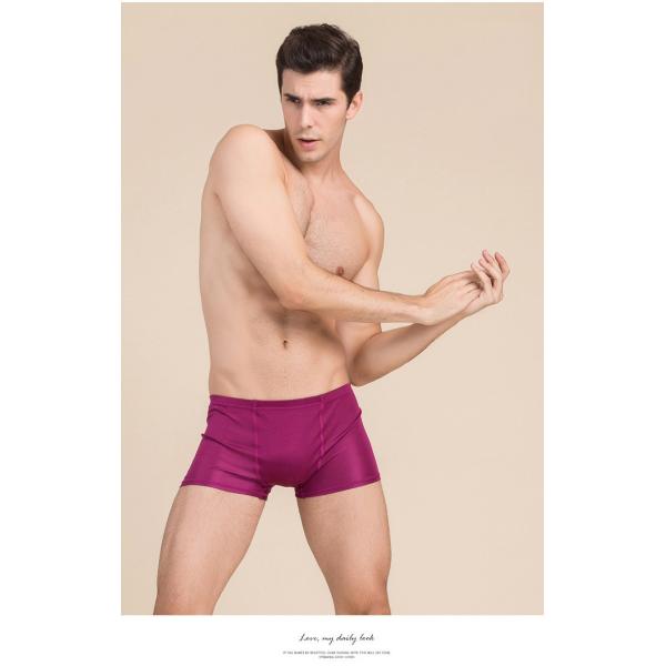 シルク ボクサーパンツ メンズ下着 シルク１００ メンズインナー 大人気 シルク100 夏は涼しく 冬暖かい セール Buyee Buyee 提供一站式最全面最专业现地yahoo Japan拍卖代bid代拍代购服务 Bot Online