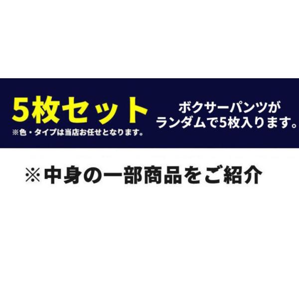 下着 メンズ 福袋 5枚セット ボクサーパンツ ローライズ ボクサー