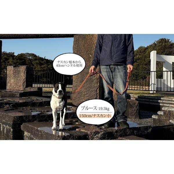 ��120cm/���C�g��BLC�n���h���t�����o�[���[�h���C�g ���i�摜3