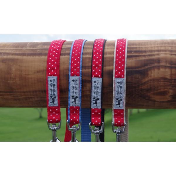 BLCリード ＜Mサイズ・Sサイズ共通＞ レッド水玉2 : ブラックラブ