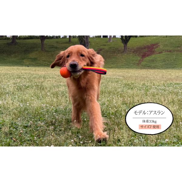 �f�����{�[��7�i���E��^�������j ���i�摜4