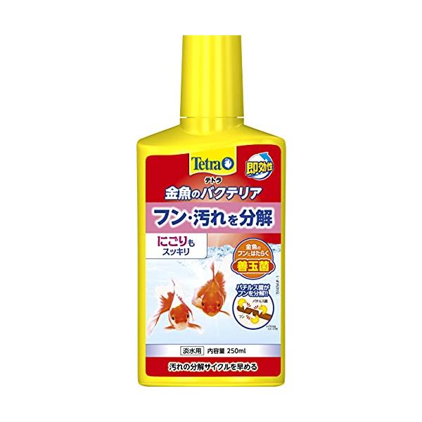 -/250ml/77325・Size:250mlPatternName:フン・汚れを分解・パッケージ個数:1・水槽内の汚れを強力に分解するバクテリアを高濃度で配合・浄化サイクルを早めて水槽内の汚れを分解、除去します・汚れを分解することでクリ...