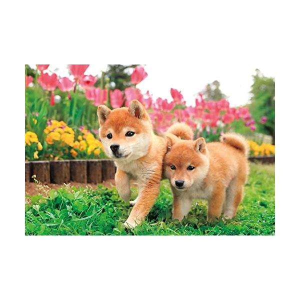 300ピースいっしょに走るわん/26×38cm/25-184・Color:いっしょに走るわんStyle:300ピース・柴犬の子犬2匹はとっても仲良し・走るのだっていっしょだよ。組みやすい手ごろな300ピースで登場です。・ふわふわの毛並みが可...