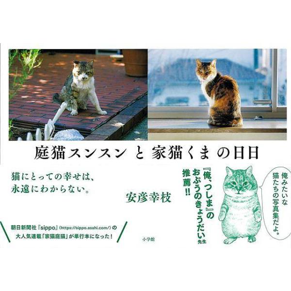 庭猫スンスンと家猫くまの日日