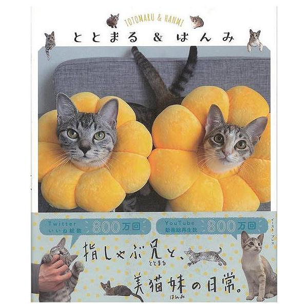 ととまる＆はんみ
