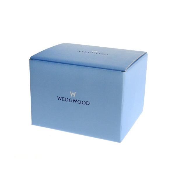 Pp  Mtg }OJbvEr[J[EFbWEbh̃Mtg 990107  ŷ݂̒sz           @