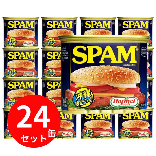 thi-dasyokai_spam-reg-24p