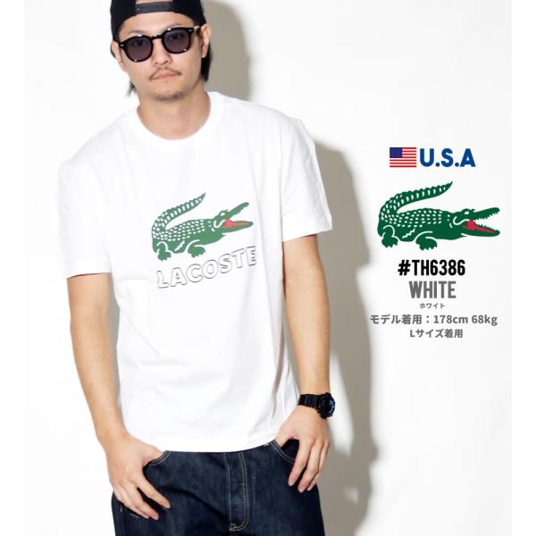 ラコステ ティー シャツ メンズ