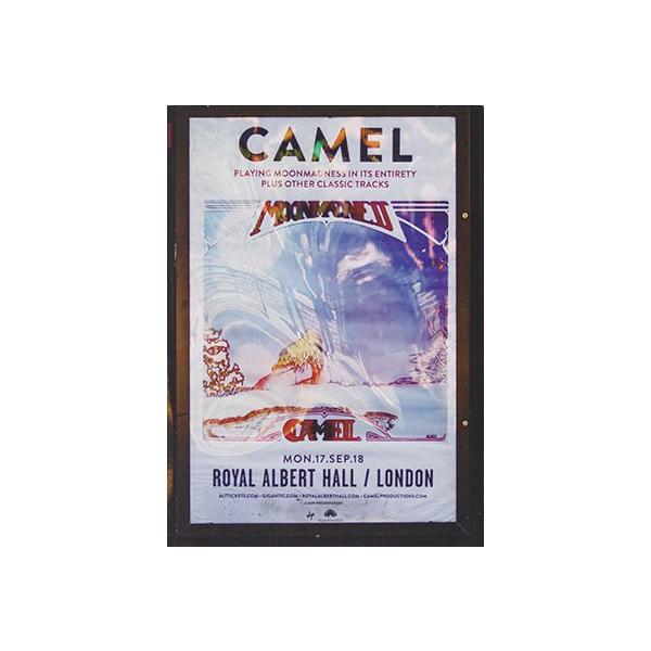 CAMEL/Live At The Royal Albert Hall(DVD) (2018/Live) (キャメル/UK)