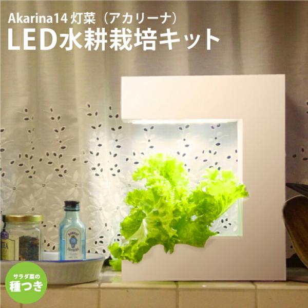 LED 水耕栽培キット 初心者さんも簡単 室内で家庭菜園 種子付 1年保証MotoM Akarina14 ホワイト インテリア mot-m11