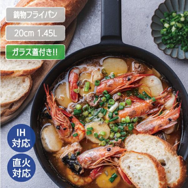 SSC 鋳物 フライパン 20cm ガラス蓋 セット 日本製 サントク 鋳物