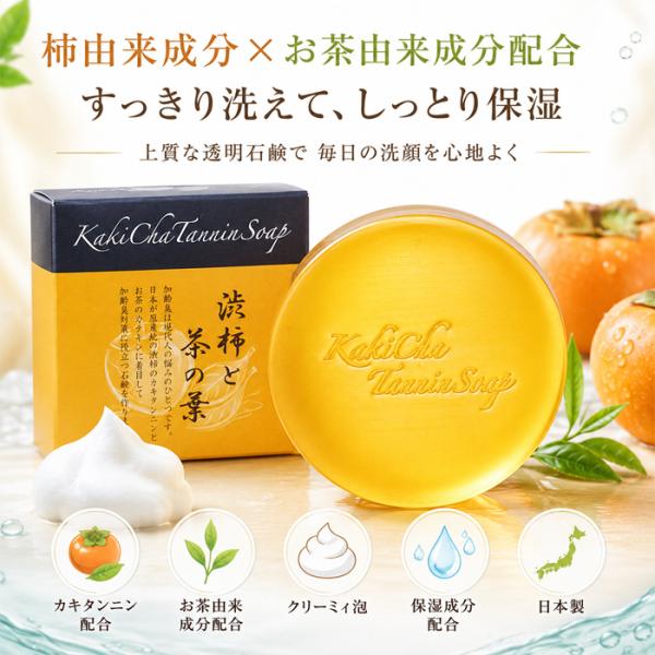 加齢臭を消す 石鹸 ボディソープ 柿渋 カテキン 体臭 加齢臭 カキチャタンニンソープ 100g 足の臭い 殺菌 加齢臭対策
